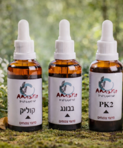 צמחי מרפא למערכת העיכול